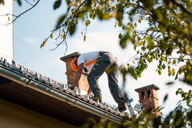 Best Roof Ventilation Installation  in Mahomet, IL