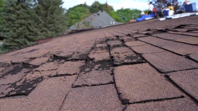 Best Roof Insulation Installation  in Mahomet, IL