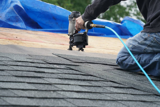 Best Roof Insulation Installation  in Mahomet, IL
